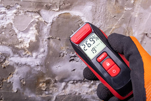 Attic Mold Removal in Pahoa, HI