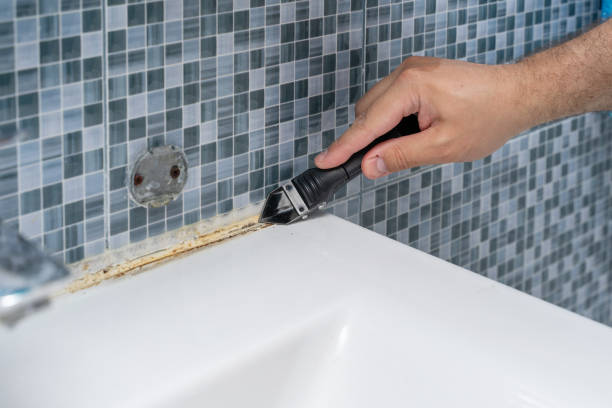 Best Residential Mold Removal  in Pahoa, HI